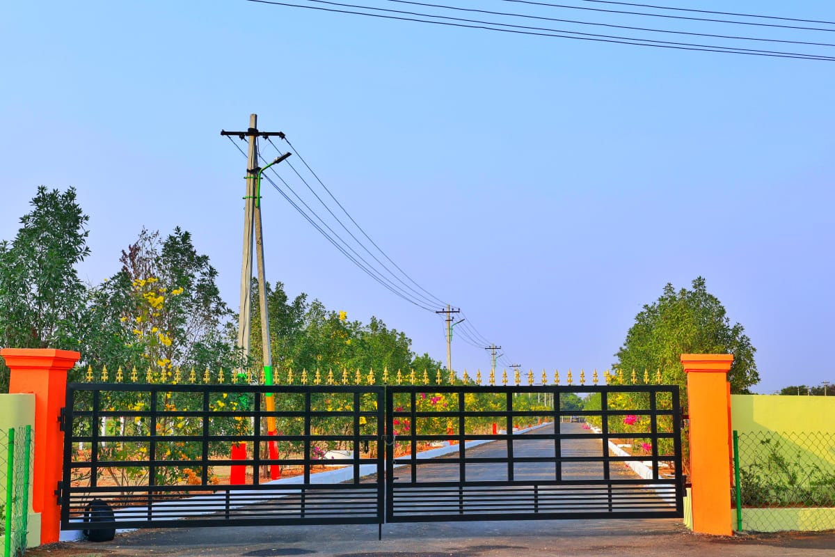 Gallery Image 1